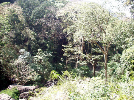 big waterfall in Kerala