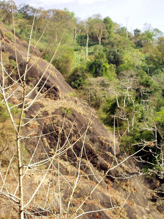 mountain area in Kerala