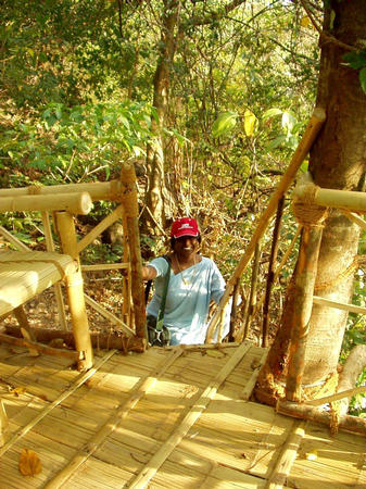 tree house in Tenmalai