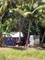 backwater trip