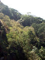 big waterfall in Kerala