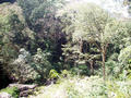 big waterfall in Kerala