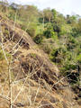 mountain area in Kerala