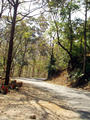 mountain area in Kerala