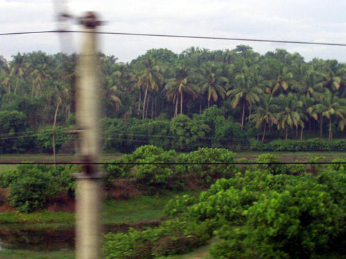 first impressions of Kerala