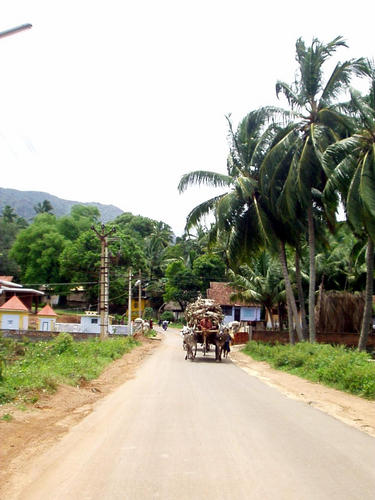 ox cart -- I missed the elephant