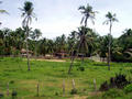 farms and buildings along the railroad