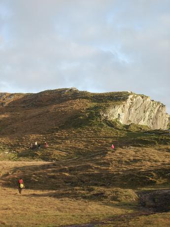 Sheep's Head