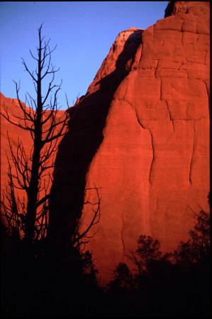 Abendstimmung im Kodachrome Basin