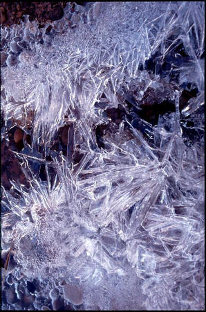 Eisblumen (Natural Bridges NP)