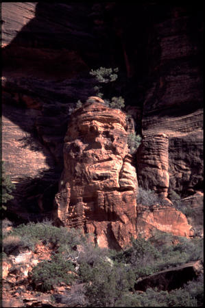 Zion NP