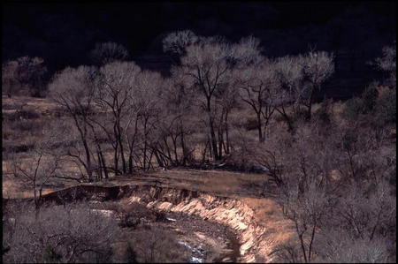 Zion NP -- Blick ins Tal