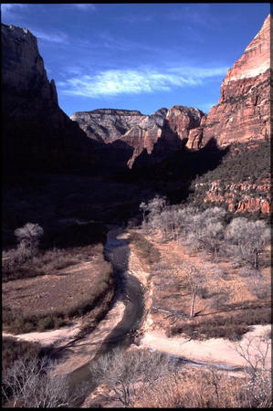 Zion NP -- Blick ins Tal