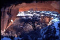 Eine der Bridges (Natural Bridges NP)